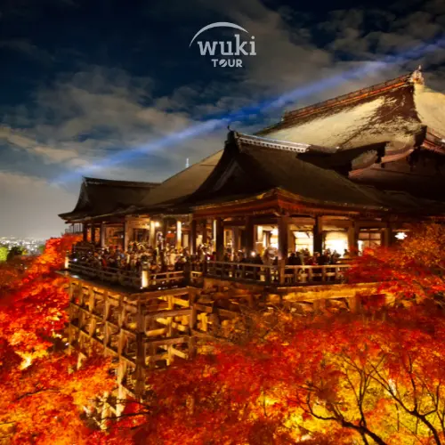 Open Trip Jepang 2025 – Liburan Seru dengan Harga Terjangkau!