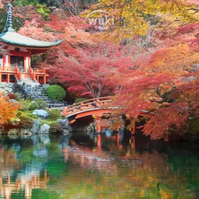 Open Trip Jepang Terbaru – Jelajahi Destinasi Favorit 2025!