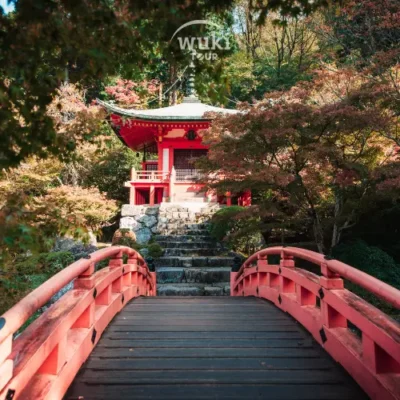 Itinerary Liburan ke Jepang 7 Hari – Rencana Perjalanan Lengkap!